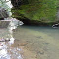 Chimney Top Creek - Koomer Ridge Trail - 1